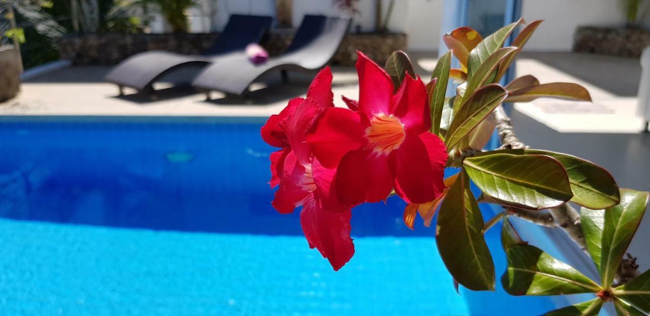 Villa Paradise, Pool And Sea View Παραλία Σαγουένγκ Εξωτερικό φωτογραφία
